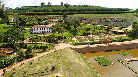 Fazenda Monte Alto